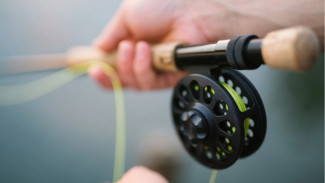 Нерестовый запрет в Астраханской области подошёл к концу