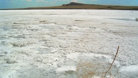 Астраханские туристические маршруты вышли в финал всероссийского конкурса 