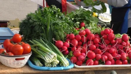 В Астрахани 25 июня на рынке “Кутум” пройдёт сельхозярмарка