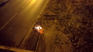  В Астрахани возбуждено дело из-за обрушения ограды Старого моста