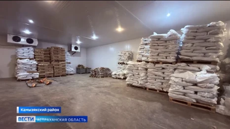 На рыбном предприятии в Астраханской области оперативники ФСБ обнаружили труп собаки
