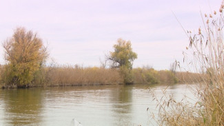 В Астраханской области созданы две новые природные заповедные территории