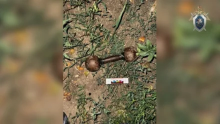 Астраханец убил знакомого гантелью