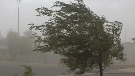 В Астраханской области 27 марта прогнозируется сильный ветер до 25 м/с