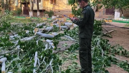 В Астрахани директор управляющей компании получил 2,5 года тюрьмы за смерть ребёнка