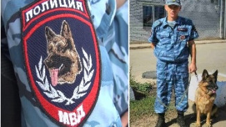 В Астраханской области служебная собака отыскала угнанный велосипед