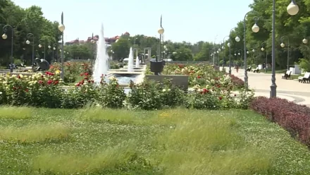 В Астраханской области прогнозируется жара до 35 градусов