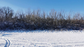 В Астраханской области один охотник застрелил другого, приняв за кабана