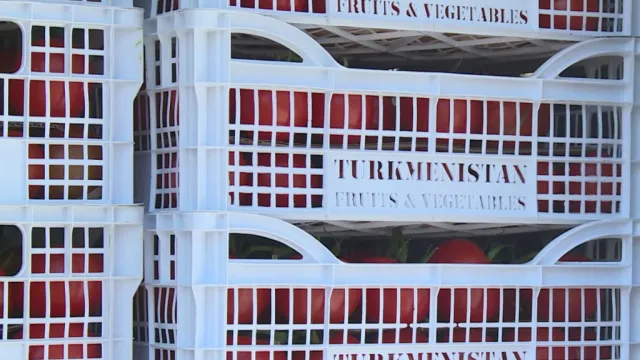 Туркменистан безвозмездно передаст Астраханской области лекарства и товары
