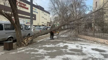 Коммунальщики Астрахани устраняют всё новые последствия непогоды
