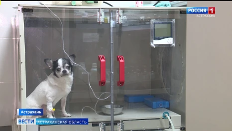 В Астраханской области зарегистрированы первые случаи укусов клещей