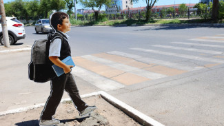 В Астрахани на пяти пешеходных переходах установили макеты школьников