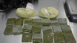 За 2 месяца в аэропортах Астрахани и Волгограда изъяли свыше 117 кг насвая