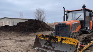 В Астраханской области выращивают осетровых с использованием навоза