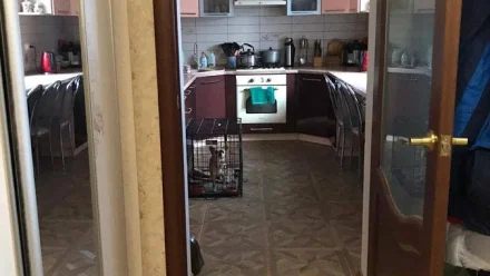 В Астраханской области отчим хотел убить пасынка сковородкой и отверткой