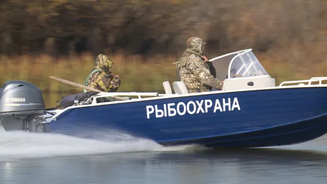 В Астраханской области инспекторы рыбоохраны провели очередной рейд