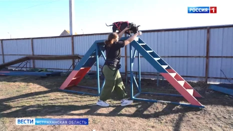 Выездное интервью. Призер Чемпионата ЮФО по кинологическому биатлону. Эфир от 17.03.2026