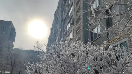 В Астраханской области снова ожидаются заморозки