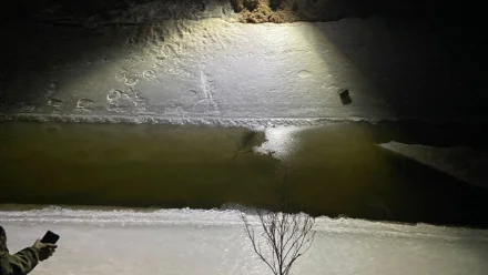 В Астраханской области суд вынес приговор по делу о гибели 9-летней девочки