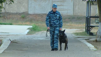 В Астрахани служебную собаку проводили на «пенсию»