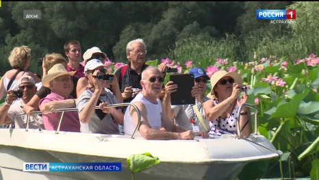 В Астраханской области с начала 2026 года зарегистрировали 10 тургрупп
