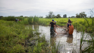 В Астраханской области началась подготовка по спасению рыбной молоди