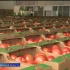 Астраханские томаты снова бьют рекорды