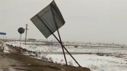 МЧС предупредило о штормовом ветре, дожде, снеге и пыльной буре в Астраханской области