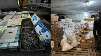 Под Астраханью полицейские изъяли почти полтонны раков