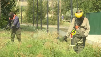 Астраханские волонтеры провели большой субботник в парке завода «Антикормаш»