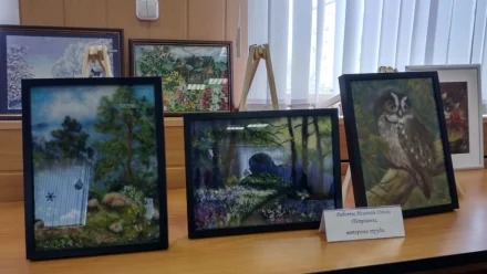 Астраханка создаёт картины из шерсти
