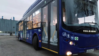 Новогодние автобусы начали курсировать в Астрахани