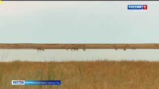 Команда ГТРК "Лотос" стала лауреатом Международного экологического конкурса 
