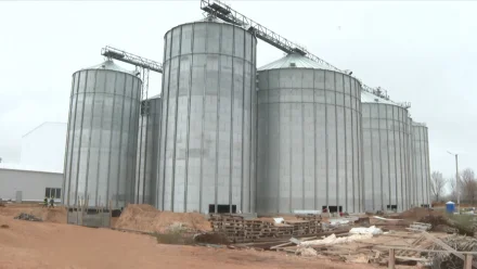 В Астраханской области создают современный мукомольный комплекс