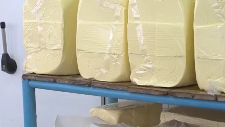 В Астраханской области обнаружили опасное для здоровья масло