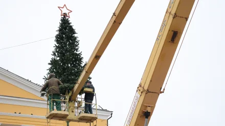 На севере Астраханской области начали устанавливать новогодние ёлки