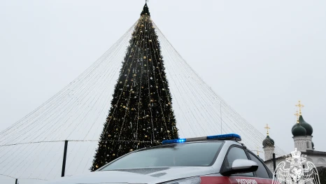 Росгвардейцы задержали иногороднего дебошира