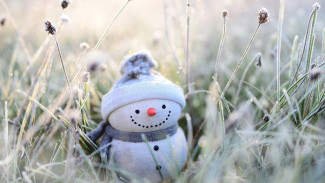 МЧС предупреждает астраханцев о заморозках