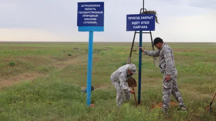 В Астраханской области временно закрыли заказник «Степной» 