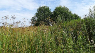 В Астраханской области забросили более 400 га земли сельхозназначения 