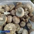 Астраханские спасатели напоминают грибникам о простых правилах, которые помогут избежать отравления