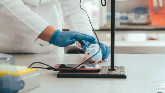 В Астрахани учёные провели уникальный эксперимент для лечения рака кожи