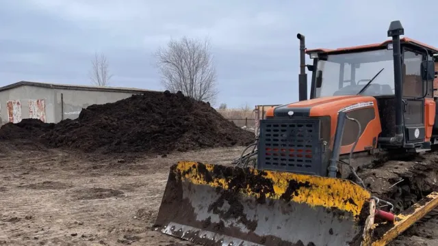 В Астраханской области выращивают осетровых с использованием навоза