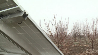 В АГУ разрабатывают проект по орошению садов при помощи солнечных батарей