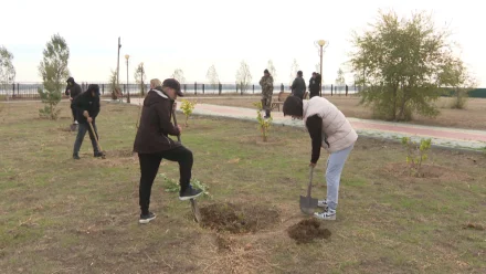 В Астраханской области прошла всероссийская акция «Сохраним лес»