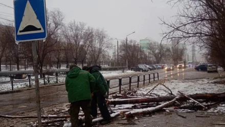 На расчистку улиц Астрахани вышло 70 единиц коммунальной техники