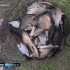 В астраханских водоемах активизировалось насекомое, которое жалит больнее чем оса