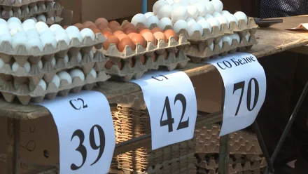 Сколько сейчас стоят яйца в Астраханской области и чем отличаются