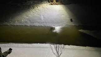 В Астраханской области завели дело по факту гибели 9-летней девочки в водоёме