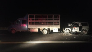 В Астраханской области водитель въехал в грузовик и получил травмы